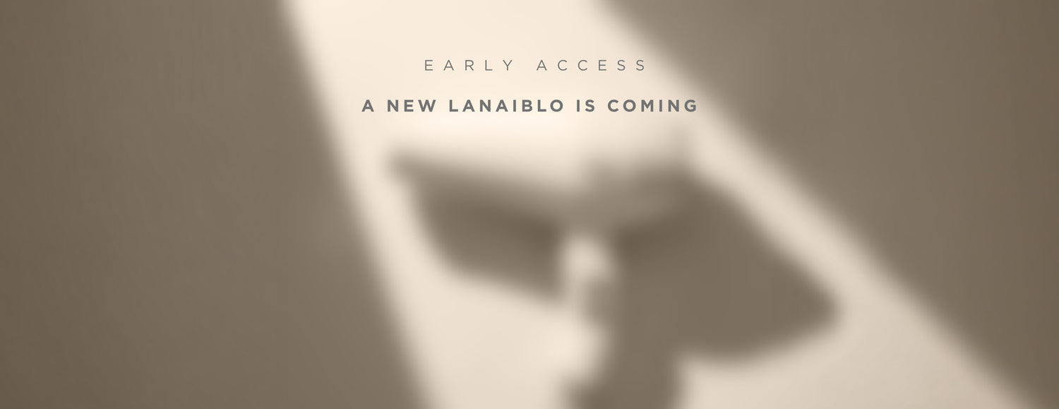 LanaiBLO Hair Dryer