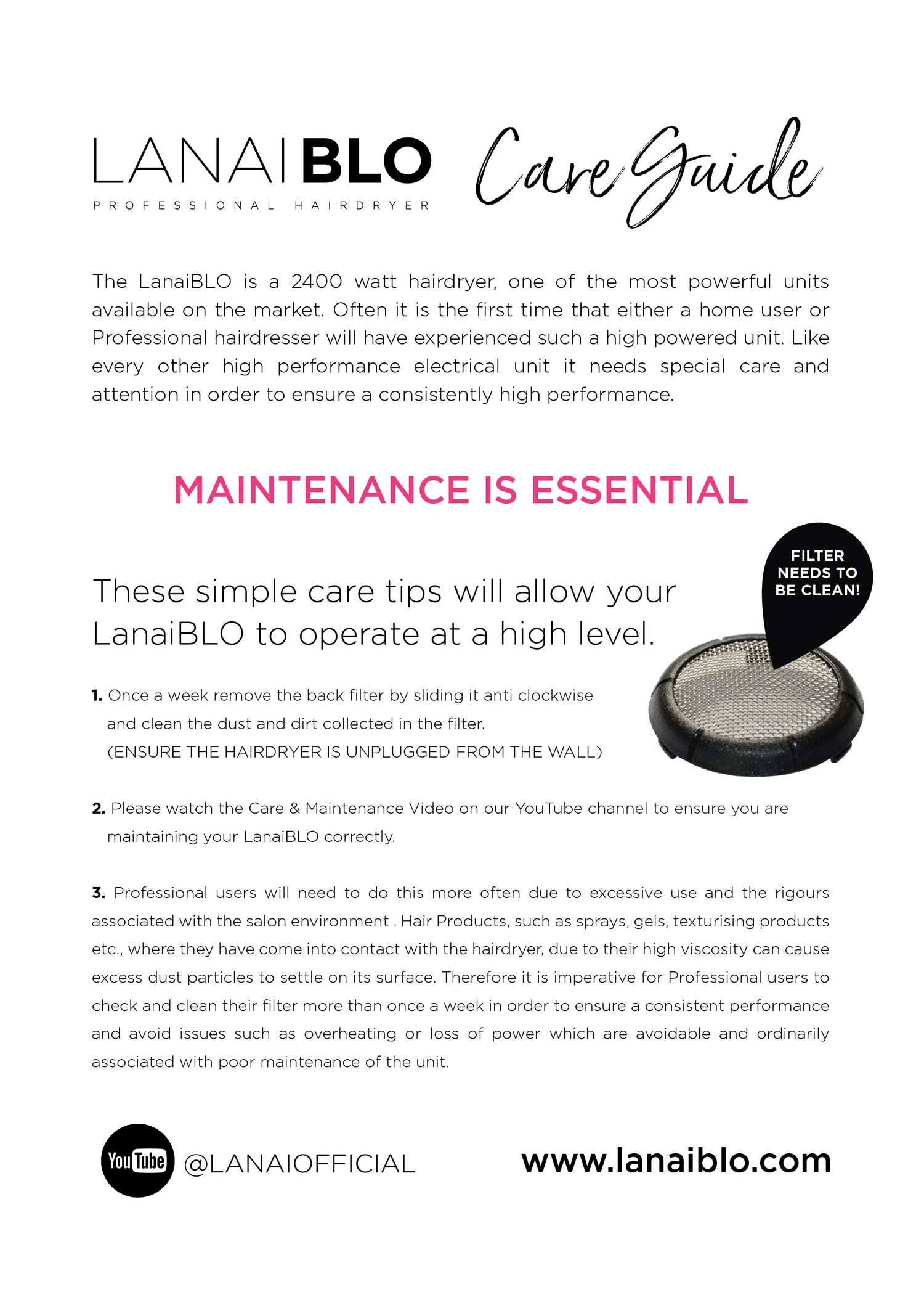 LanaiBLO Hair Dryer