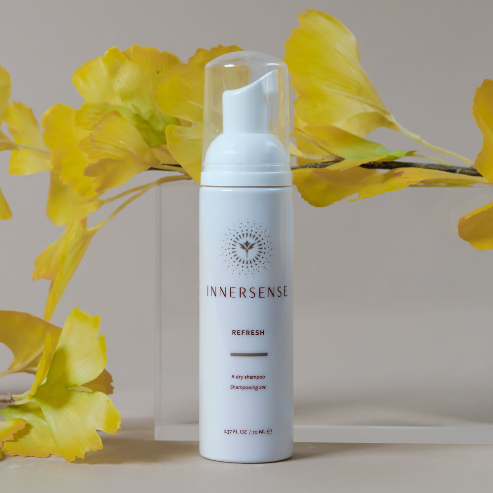 Refresh Shampoo Refresh Dry Shampoo – LanaiBLO Hair Dryer